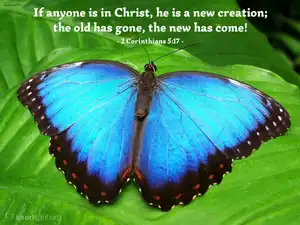 2 cor 5 17.jpg