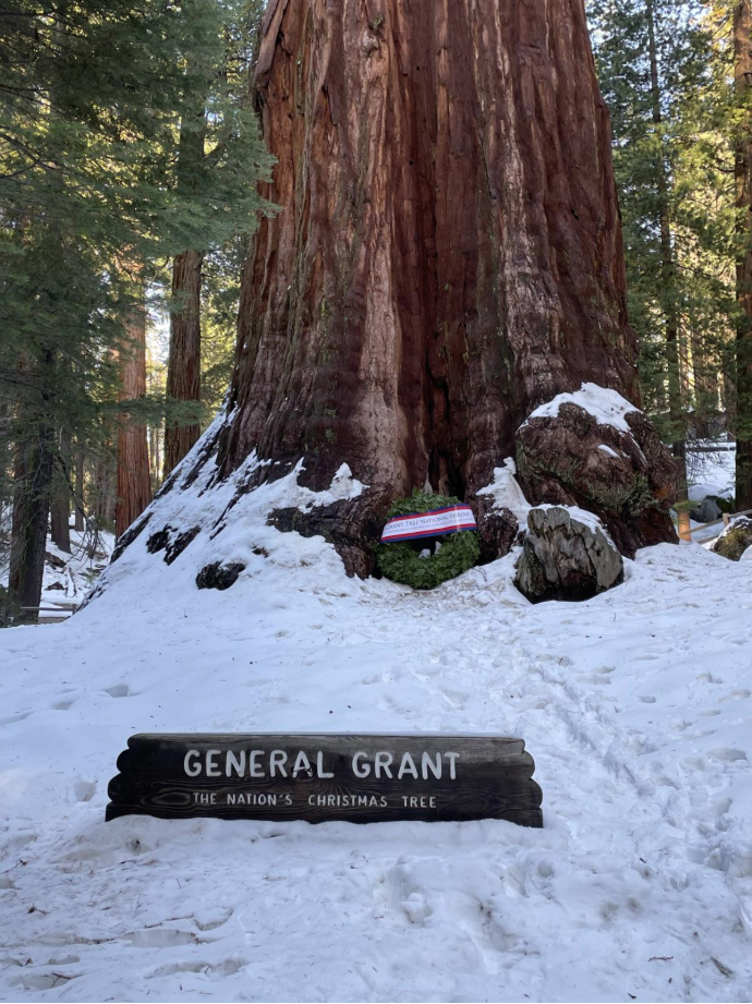 100th Annual Trek to the Nation’s Christmas Tree scheduled for December ...