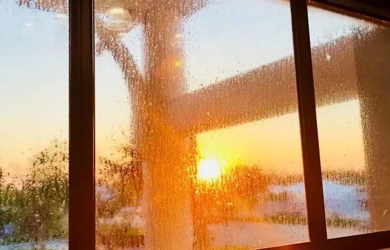 sunrise glass tinting