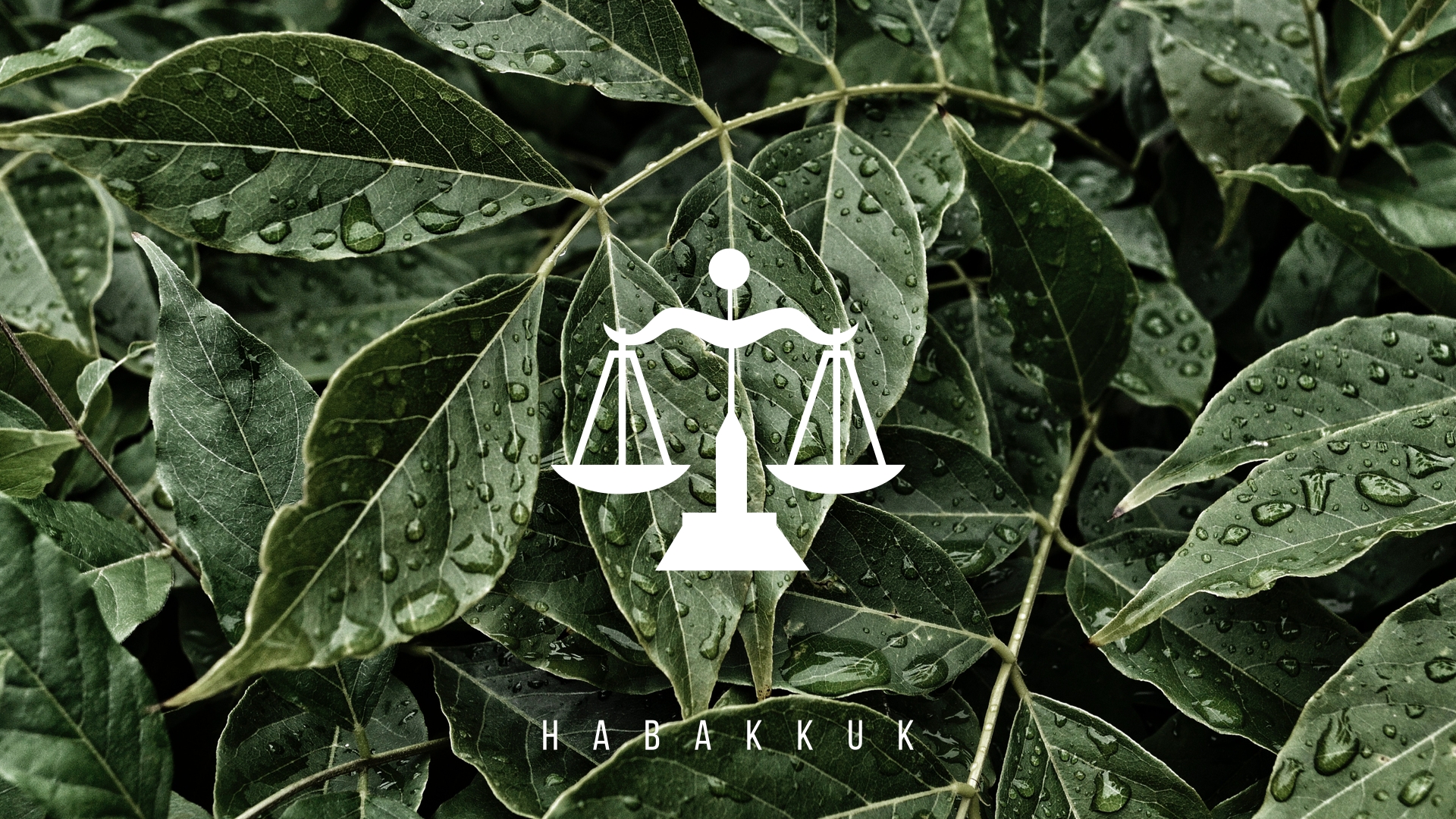 HABAKKUK CHAPTER ONE episode artwork