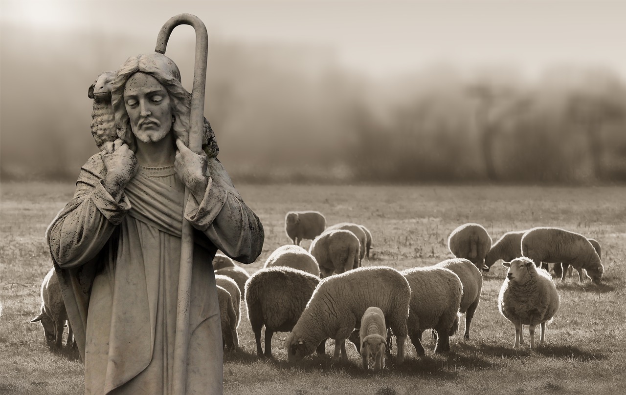 The Shepherd Who Died For His Sheep episode artwork