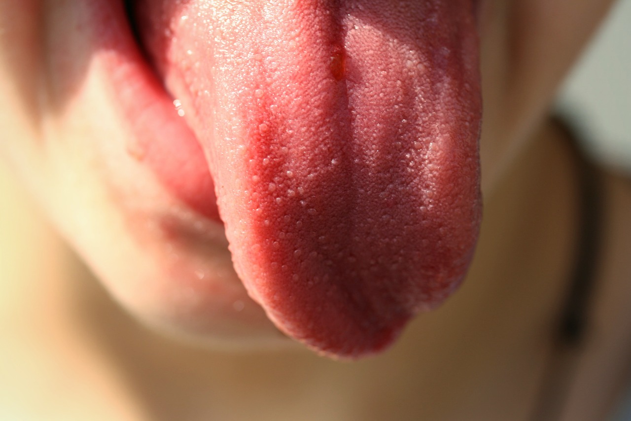 Taming the Tongue episode artwork