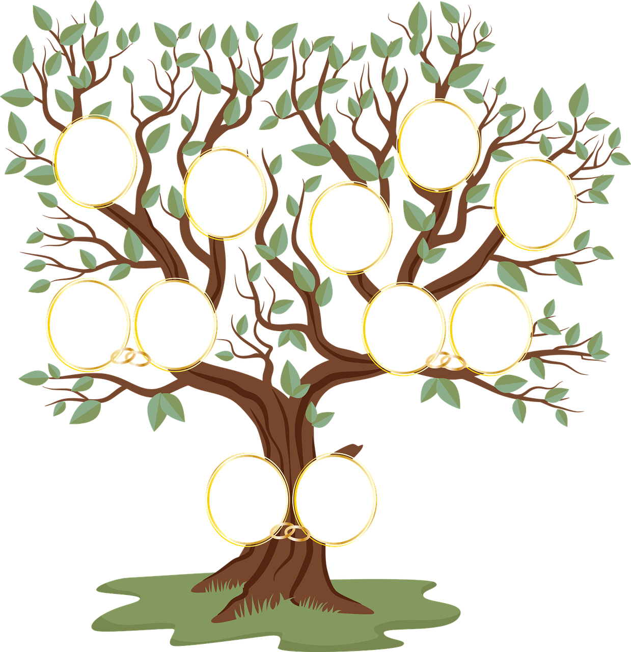 God's Design for Humans to be Fruitful and Multiply episode artwork