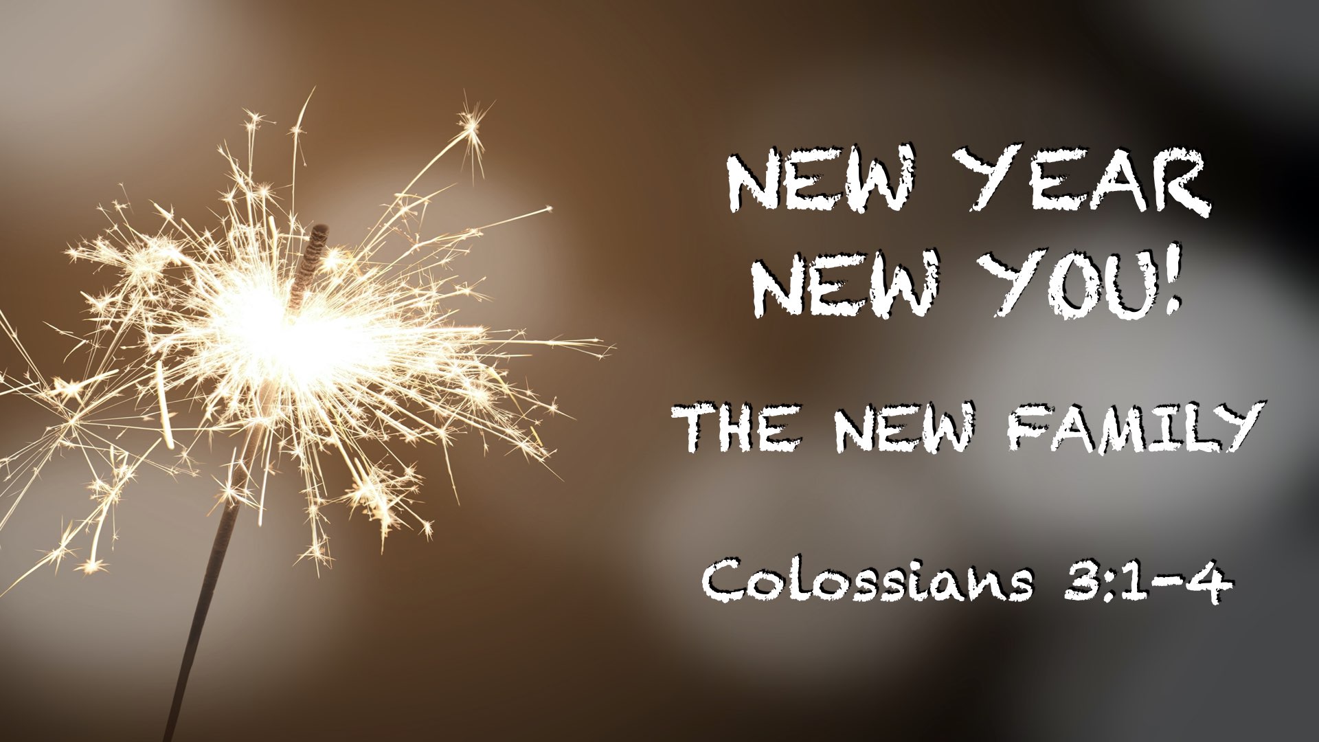 New Year New You- The New Family