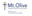 www.mtoliveop.org favicon