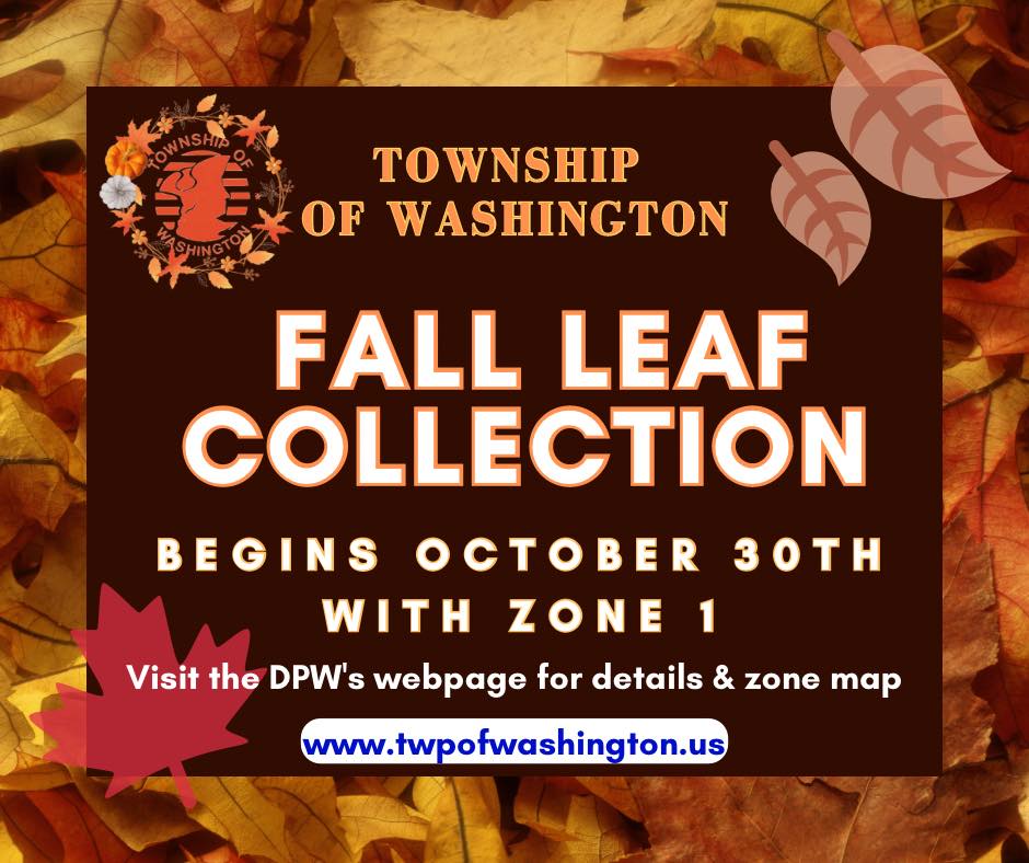 Leaf Collection