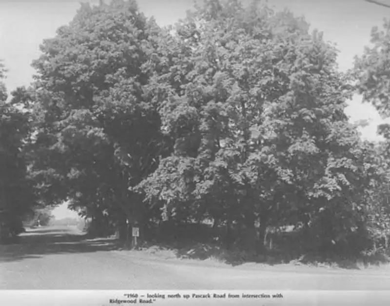 Photo Gallery The Township of Washington