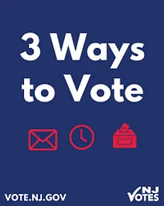 Voting & Elections - Borough of Alpine