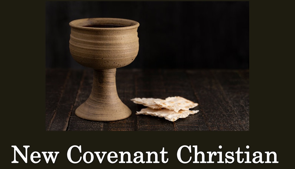 New Covenant Christian - Living As A Servant Of Jesus episode artwork