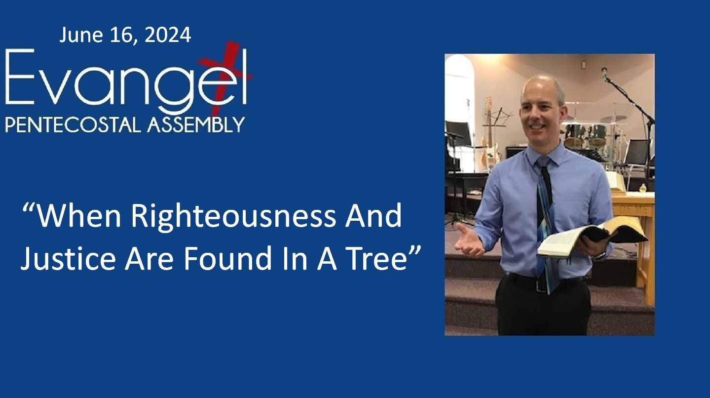 When Righteousness And Justice Are Found In A Tree episode artwork