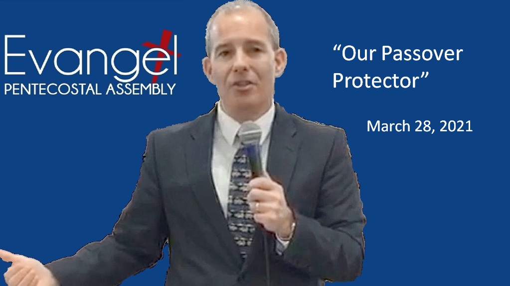 Our Passover Protector episode artwork