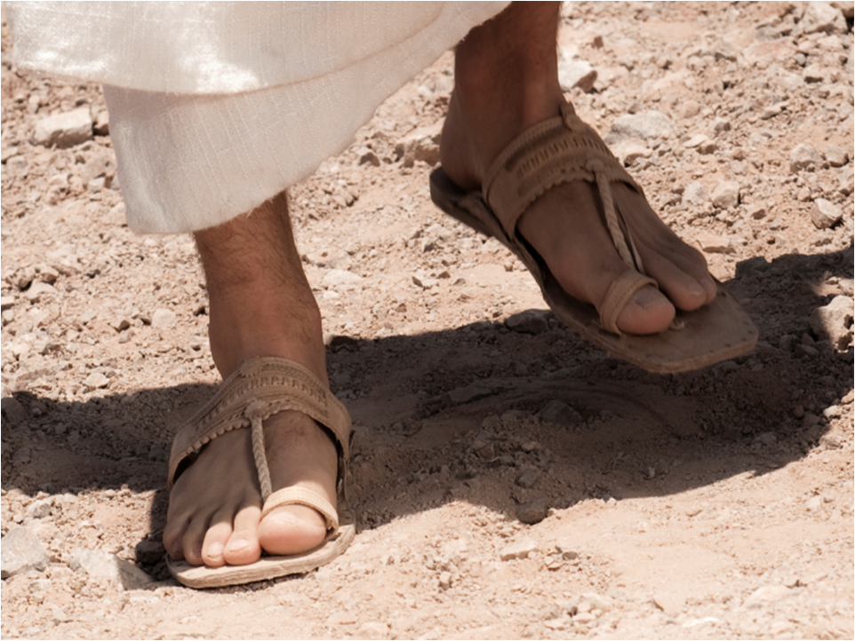 Walking With Jesus Through The Gospels - As In The Days of Noah episode artwork